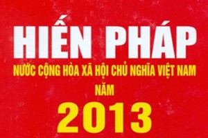 Усиление пропаганды конституции Вьетнама от 2013 года - ảnh 1